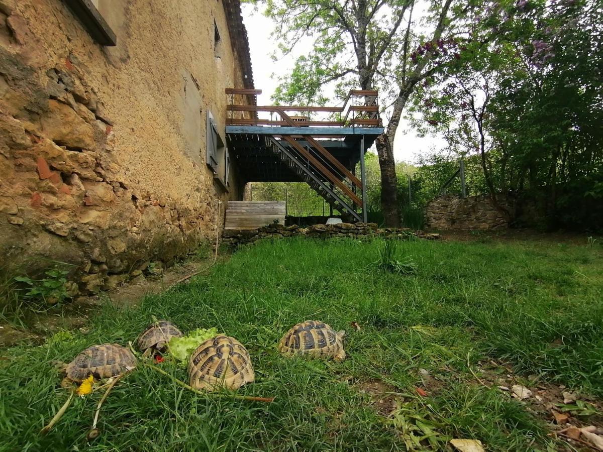Gite Du Fassac Saint-Julien-du-Puy Exteriér fotografie